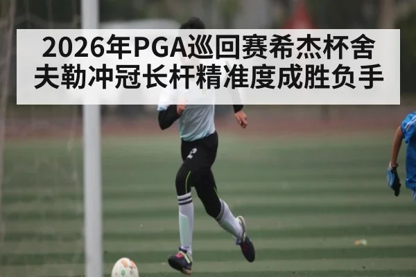 2026年PGA巡回赛希杰杯舍夫勒冲冠长杆精准度成胜负手